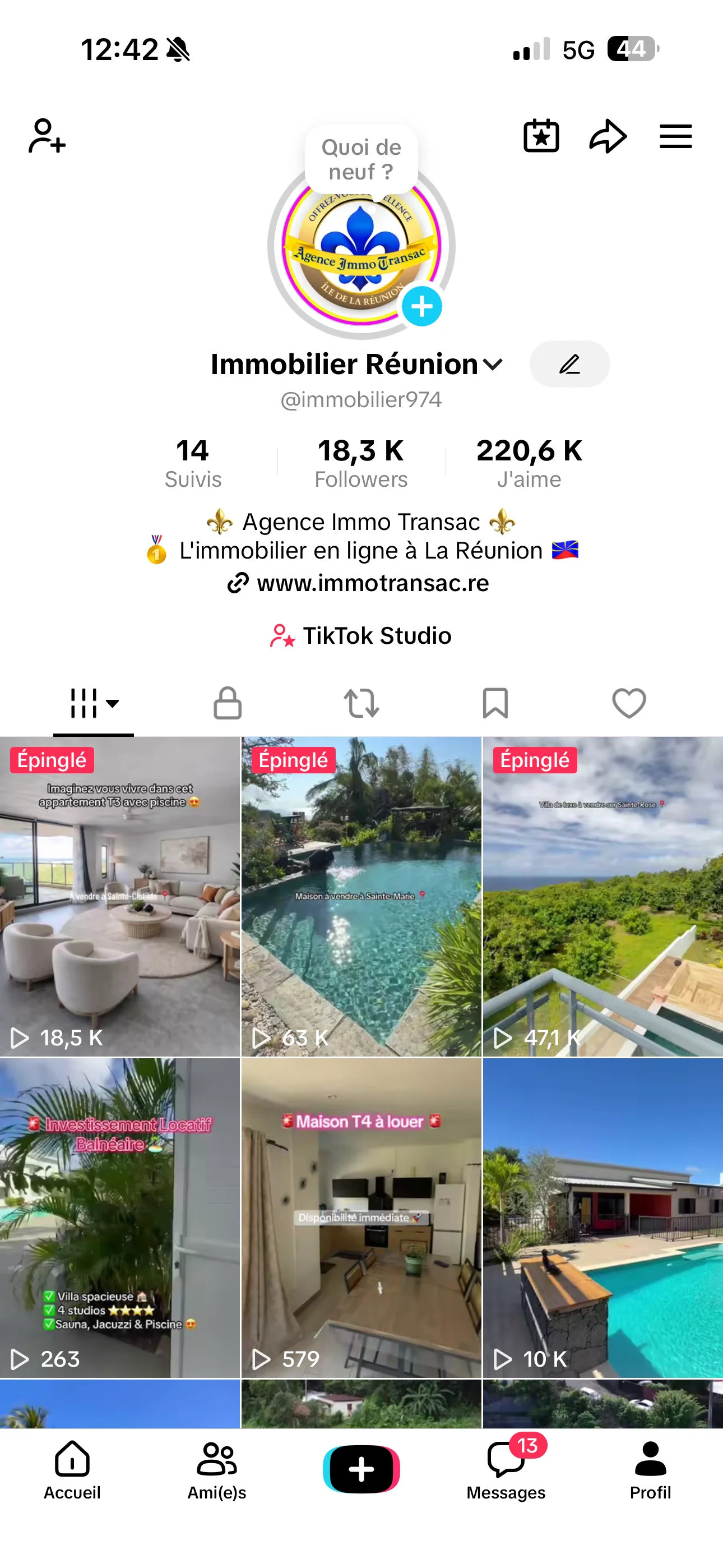 Preuve TikTok : 18 300 abonnés - Agence Immo Transac Réunion - Capture d'écran avril 2026